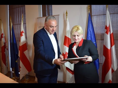 შეხვედრა ქართული ენის სწავლების პროგრამებში ჩართულ პედაგოგებთან